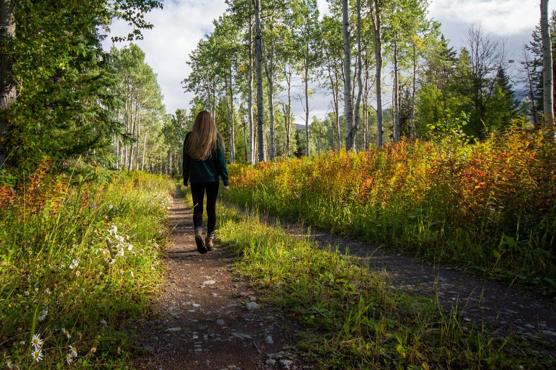Laat stress los met een stille wandeling