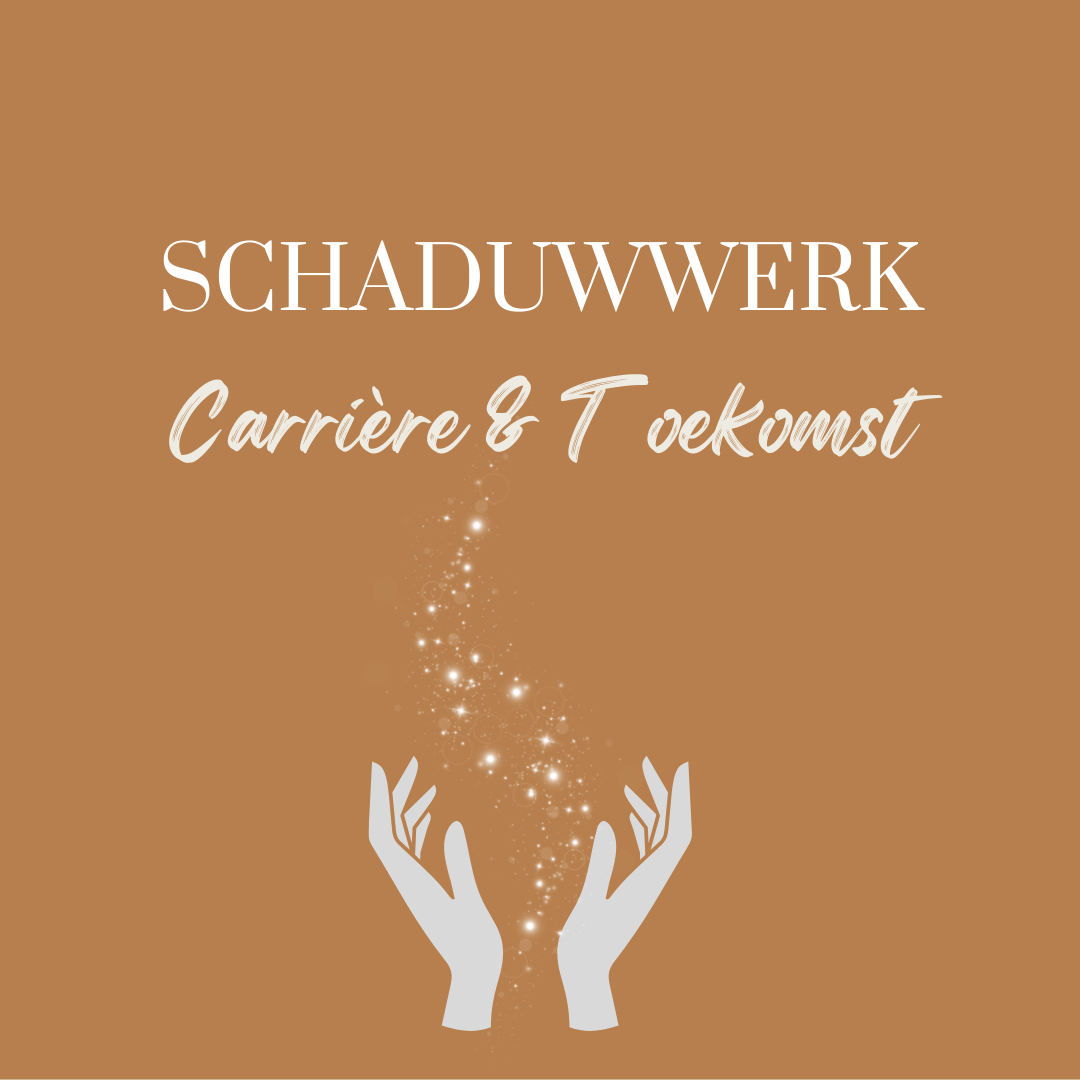 Schaduwwerk Carrière & Toekomst