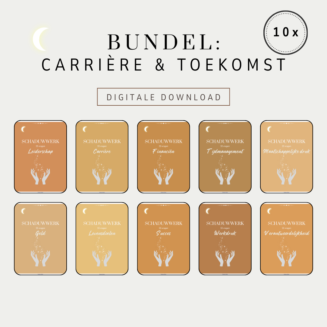 Schaduwwerk Carrière & Toekomst