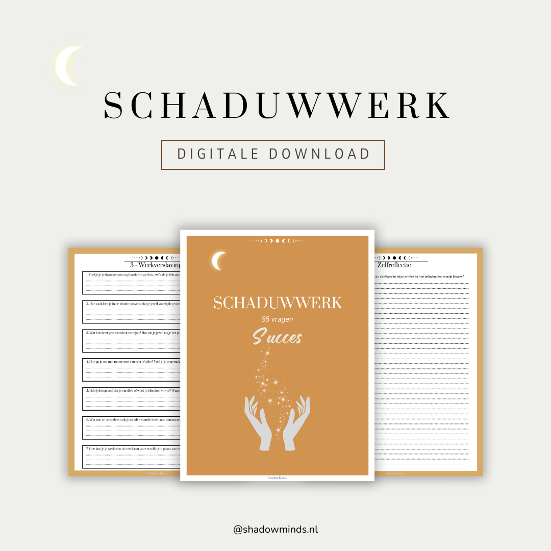 Schaduwwerk Carrière & Toekomst