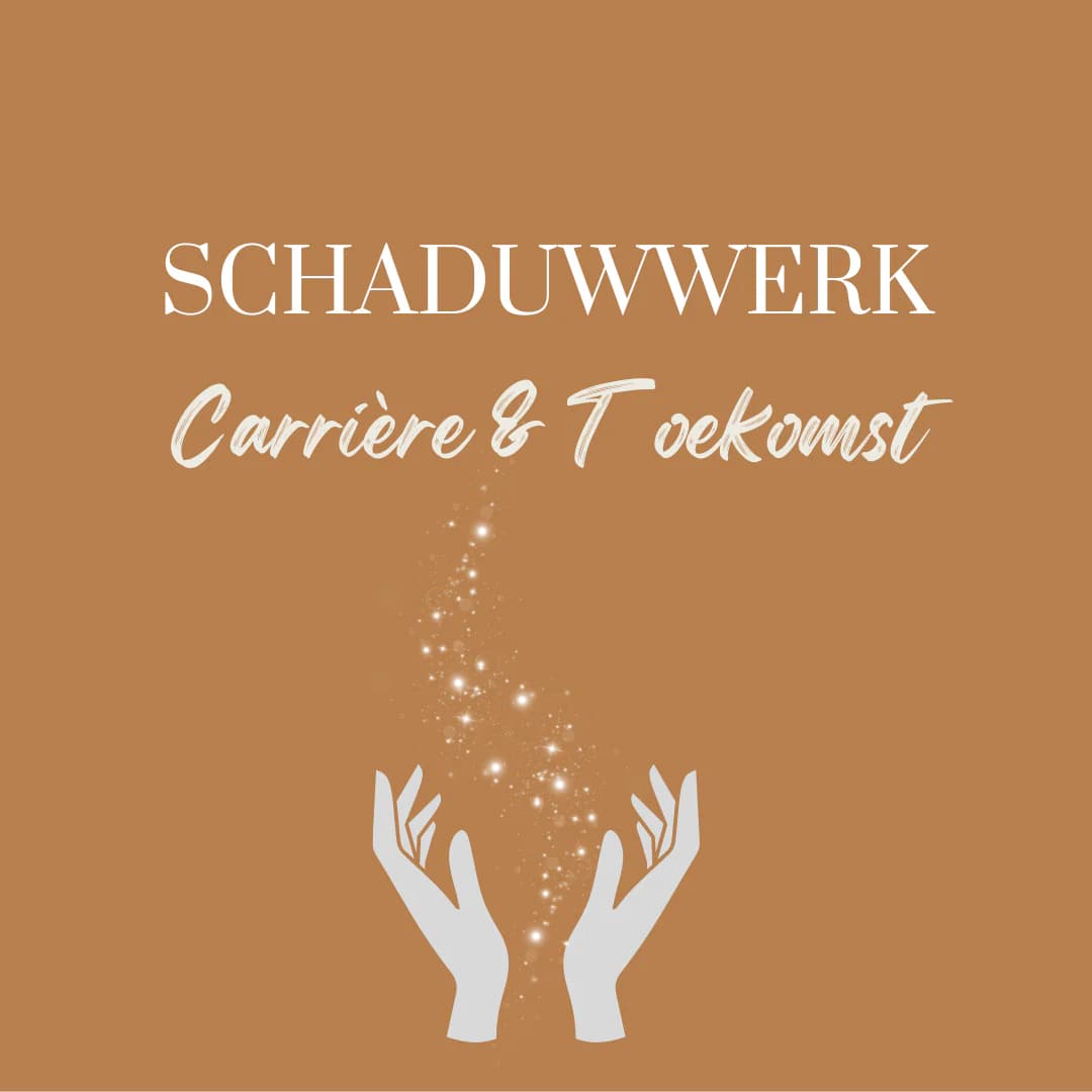 Schaduwwerk Carriere & Toekomst