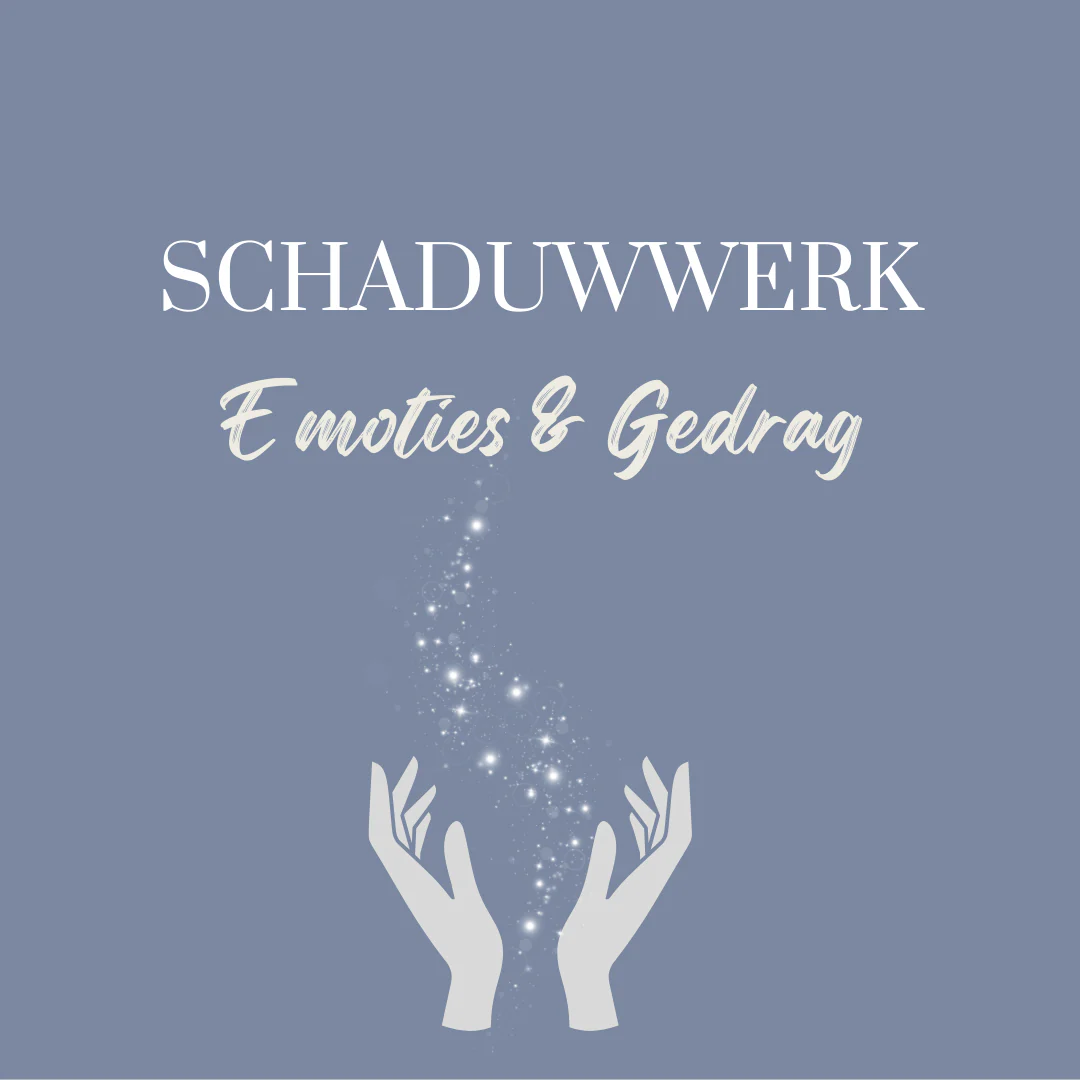 Schaduwwerk Emoties & Gedrag